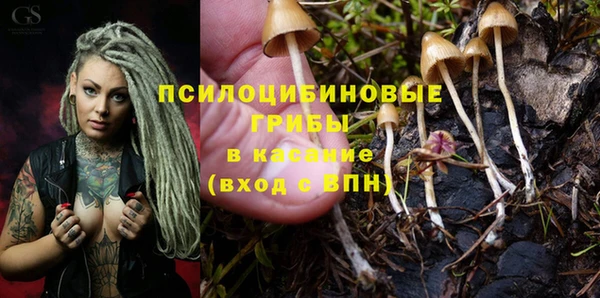 МДПВ Билибино
